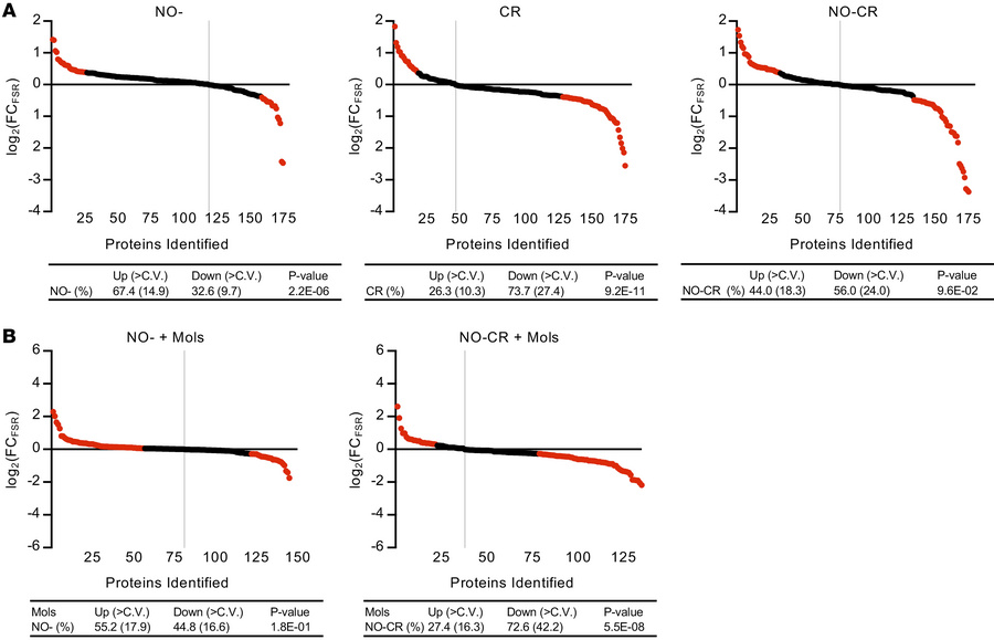 Effects of iNOS KO, pharmacological rescue, and CR on hepatic proteome F...