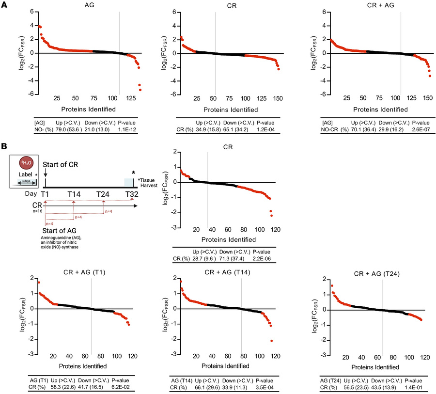 Pharmacological inhibition of NO by AG in relation to the threshold even...