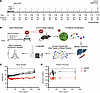 CR time-course experimental design for hepatic proteome–wide fluxes.