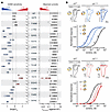 Functional impact of α3 subunit mutations on GABA sensitivity and current a