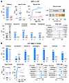 Clinical phenotypes of individuals with LOF and GOF GABRA3 variants.