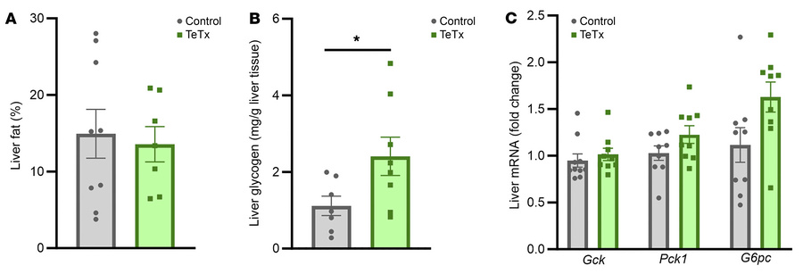 Effect of AgRP neuron inactivation on liver metabolism in Lepob/ob AgRP-...