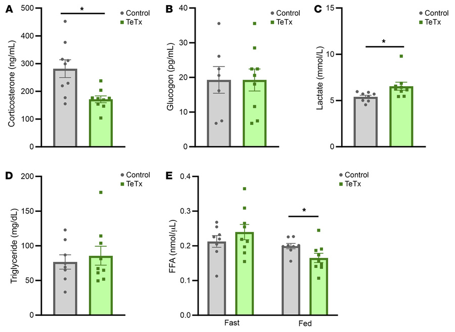 Inactivation of AgRP neurons lowers corticosterone levels in Lepob/ob Ag...