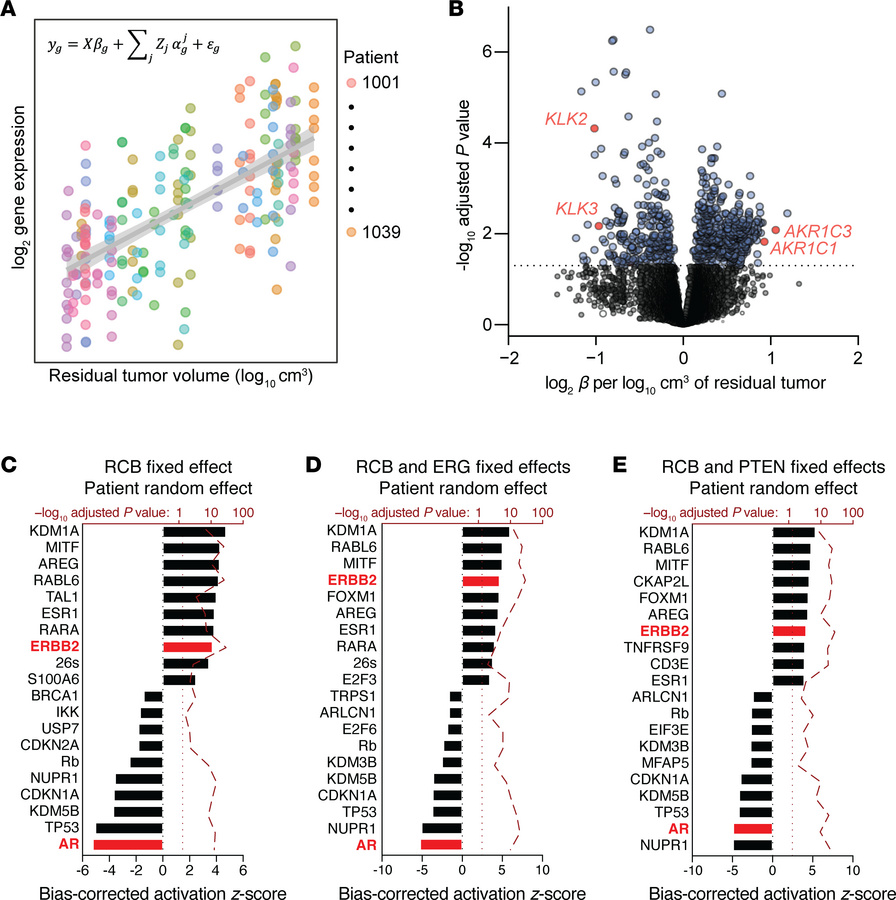 Pathologic response to neoadjuvant ADT plus enzalutamide is associated w...