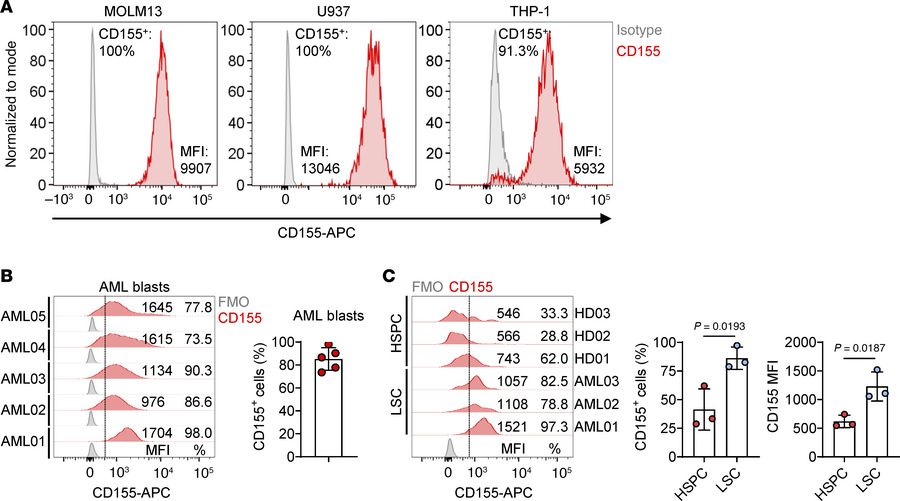 CD155 is expressed on AML cell lines and primary AML samples.
(A) Repres...