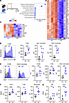 Deletion of AhR in monocytes by targeting Ccr2-expressing cells causes dysr