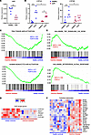 Low physiological AhR activation correlates with increased tonic cytokine r