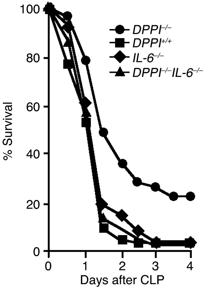Removal of IL-6 expression in DPPI–/– mice abolishes the survival advant...