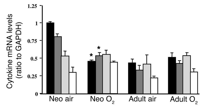 Levels of pro- and antiinflammatory cytokine mRNA in the lungs of mice e...