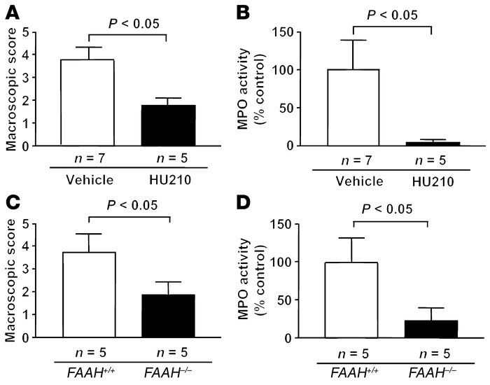 Pharmacological stimulation of cannabinoid receptors and genetic enhance...