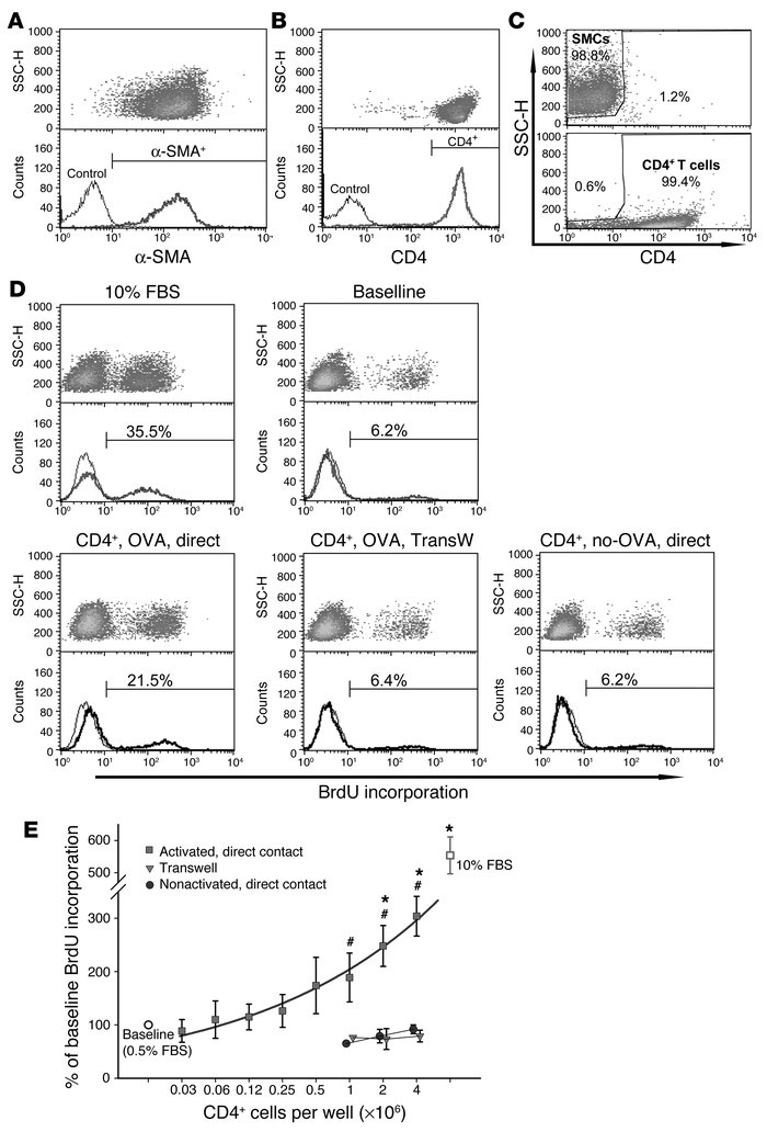 CD4+ T cells induce airway myocyte proliferation, dependent on T cell ac...