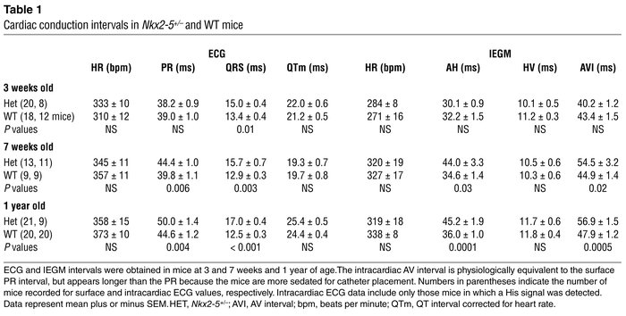 Cardiac conduction intervals in Nkx2-5+/– and WT mice