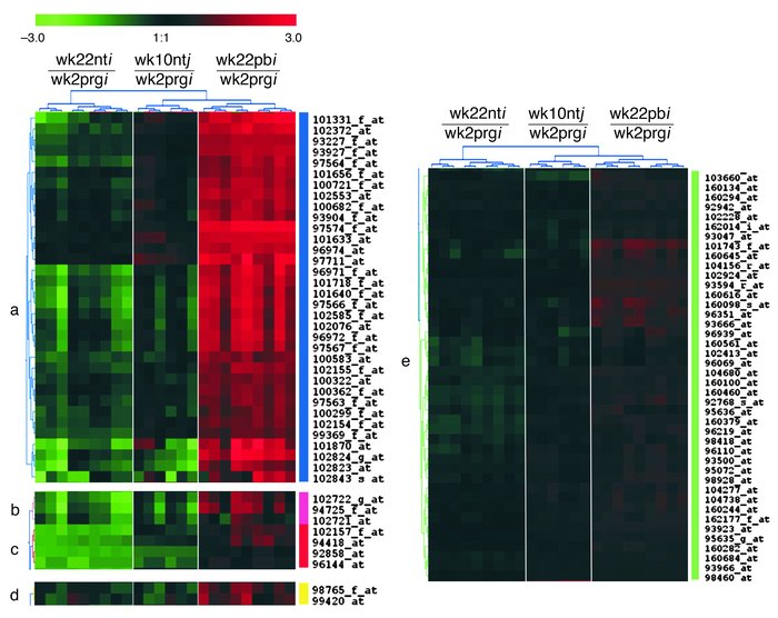 2D hierarchical clustering of PCA cluster 1. A description of the genes ...