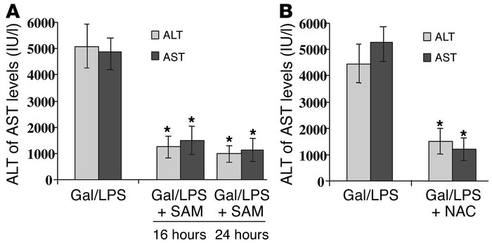 Protection against liver failure by chronic SAM treatment or antioxidant...