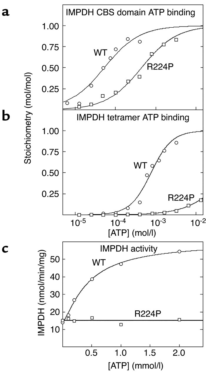 (a and b) Binding of ATP by GST fusions of the isolated CBS domain pair ...