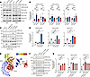 Kinase activity characterization of PD- and CD-linked LRRK2 variants.