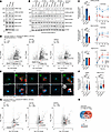 Activation of DCs induces LRRK2 mutation–dependent differences in RAB phosp