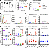 Donor thymic cells are associated with central tolerance and thymic Treg de