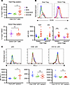 Peripheral Tregs are associated with tolerogenic DC types.