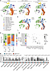 Single-cell transcriptomics of GRN+/+ and GRNR493X/R493X cortical organoids