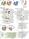 Transcriptomic profiles of astrocyte subclusters in GRN+/+ and GRNR493X/R49