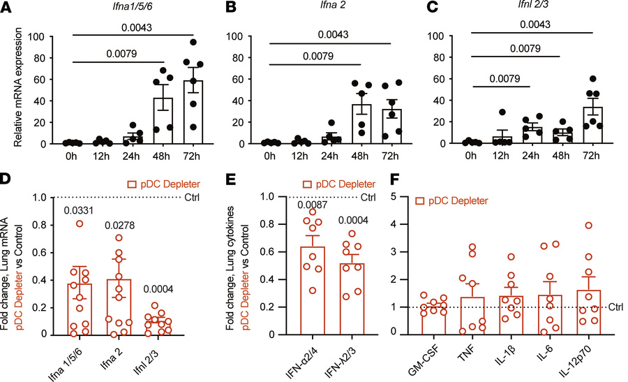 Cytokine profiles in pDC-depleted mice during A. fumigatus infection.
(A...