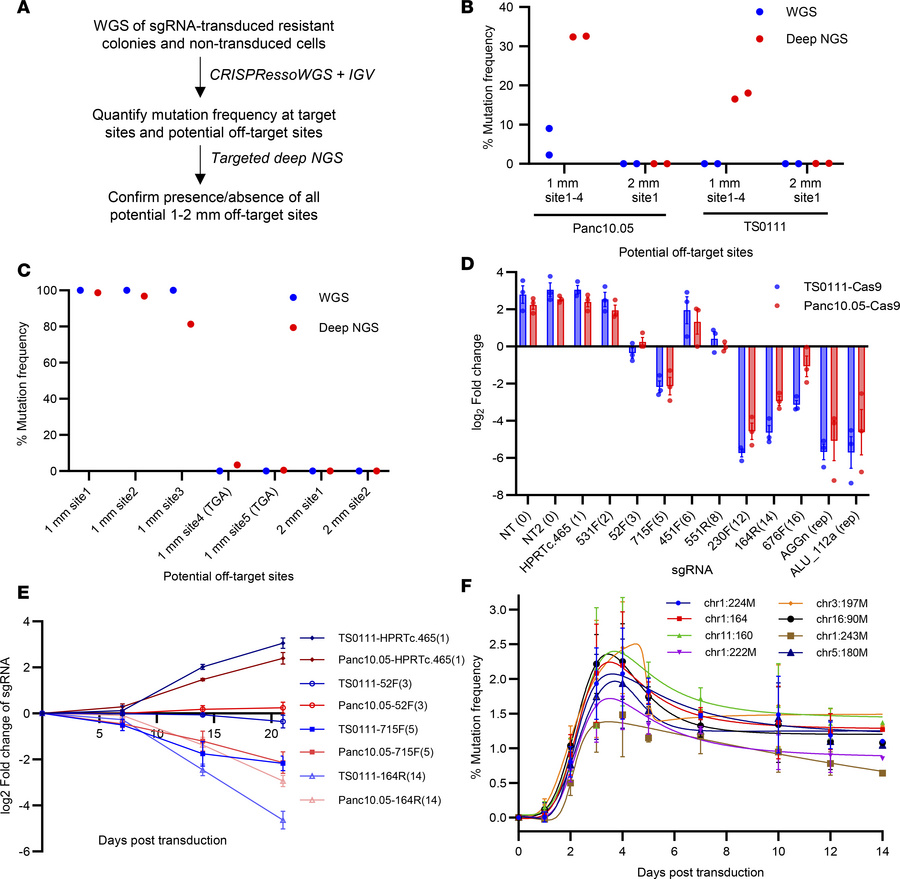 Multiple CRISPR/Cas9 scissions lead to delayed cell death.
(A) Analysis ...