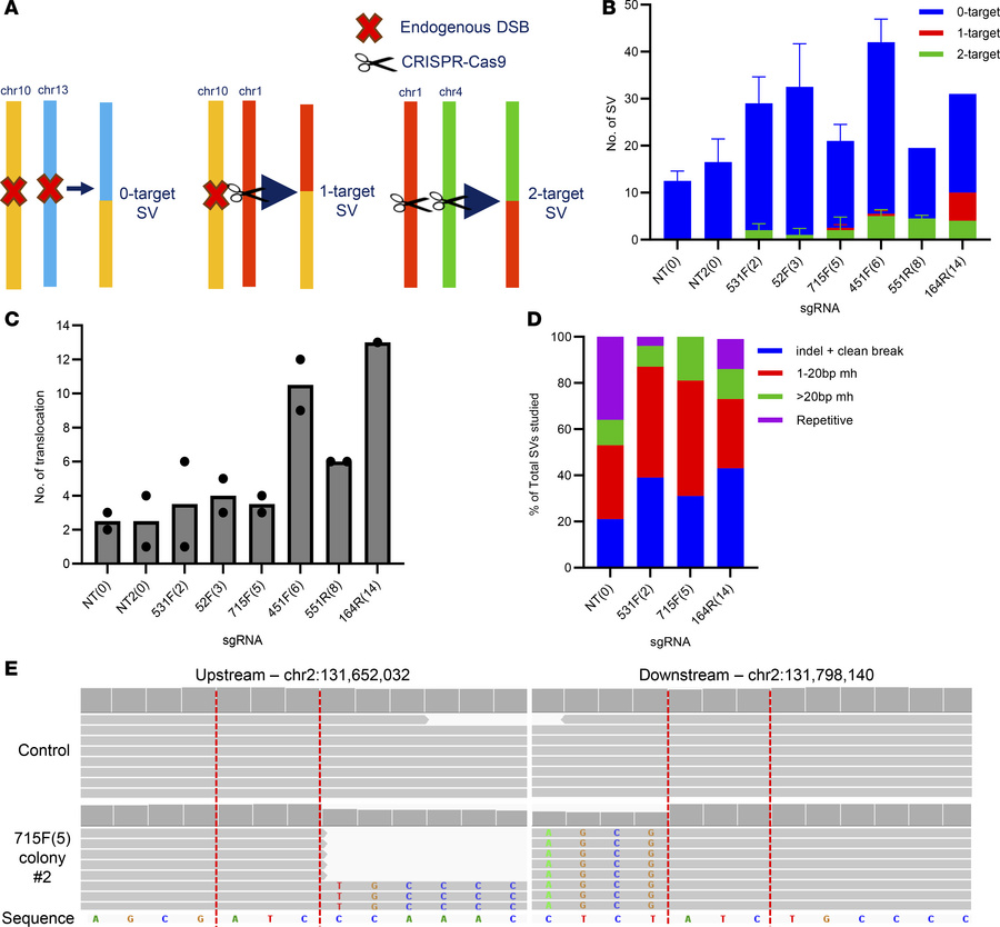 The majority of SVs are not directly produced from the initial CRISPR/Ca...