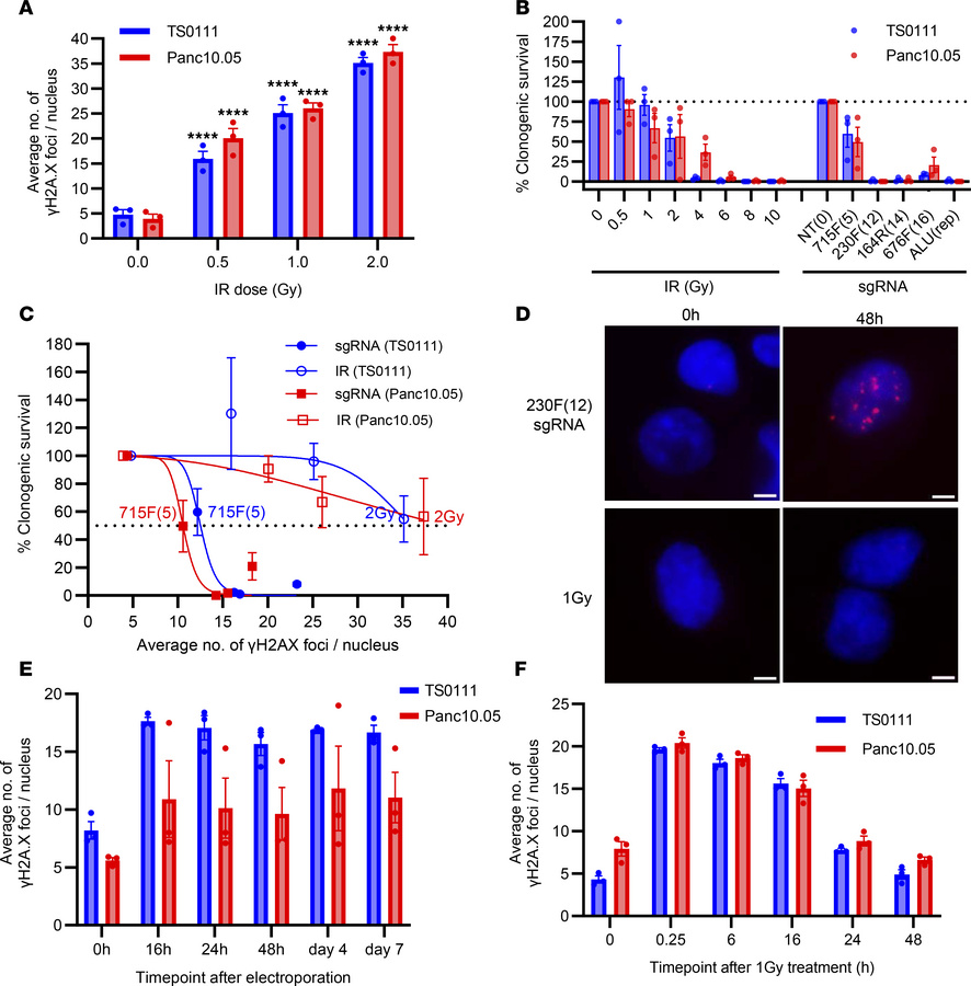 CRISPR/Cas9-induced DSBs are more cytotoxic than IR-induced DSBs.
(A) Nu...