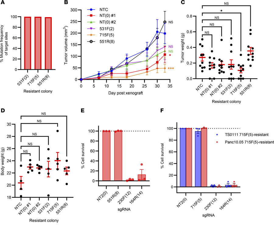 Cells resistant to one sgRNA are susceptible to other sgRNAs.
(A) Mutati...