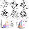Ongoing CIN in multitarget sgRNA–transduced cells.