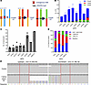 The majority of SVs are not directly produced from the initial CRISPR/Cas9-