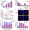 CRISPR/Cas9-induced DSBs are more cytotoxic than IR-induced DSBs.