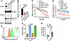 Combined inhibition of GSH and CoA synthesis leads to synthetic lethality.