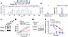 CoAlation of Cys-483 on TXNRD2 protein regulates TXNRD activity.