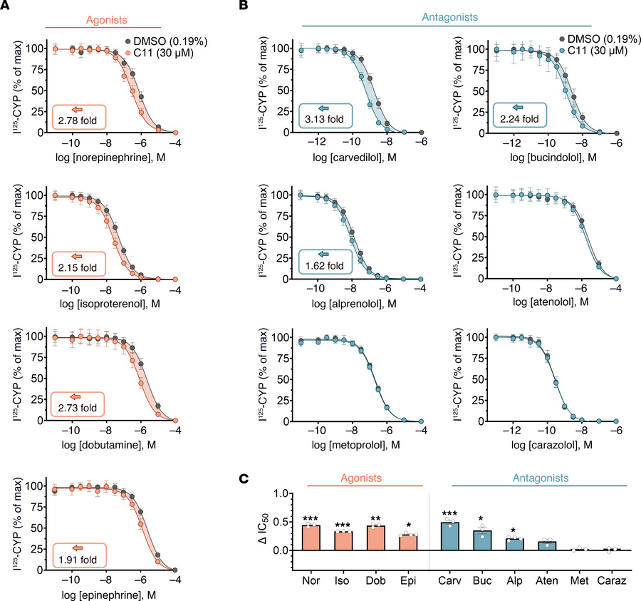C11 potentiates the binding affinity of agonists and a subset of antagon...