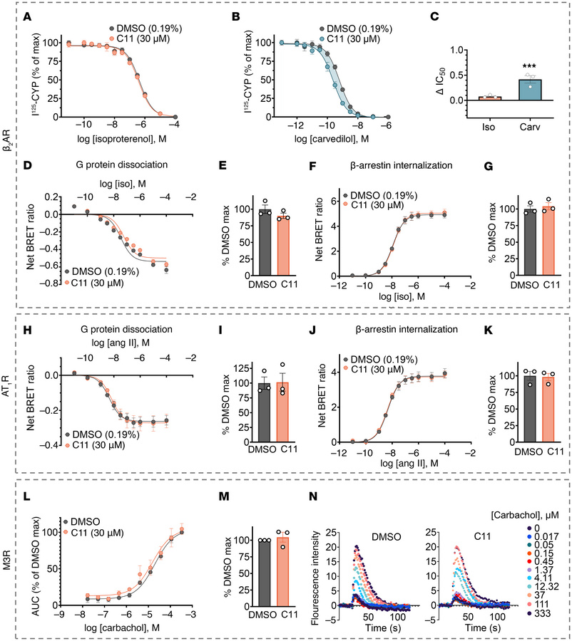 C11 does not suppress cellular signaling mediated by alternative recepto...