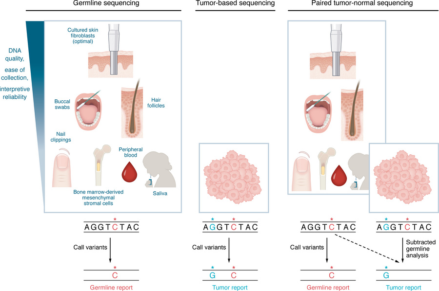 Comparison of germline, tumor-based, and paired tumor-normal sequencing....