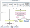 Proposed algorithm to aid the identification of likely germline variants du