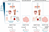 Comparison of germline, tumor-based, and paired tumor-normal sequencing.