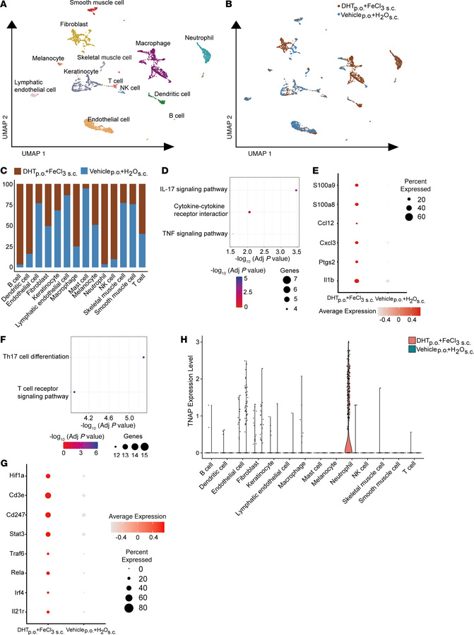 Single-cell RNA-Seq analysis of skin from calcific versus non-calcific t...