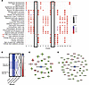 Transcriptional analysis of mouse and human wounds infected by S. aureus.