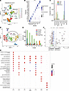 Single-cell transcriptomics of murine wounds inoculated with S. aureus iden