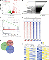 Identification of HIF target genes in brain-metastatic BC cells by RNA-Seq