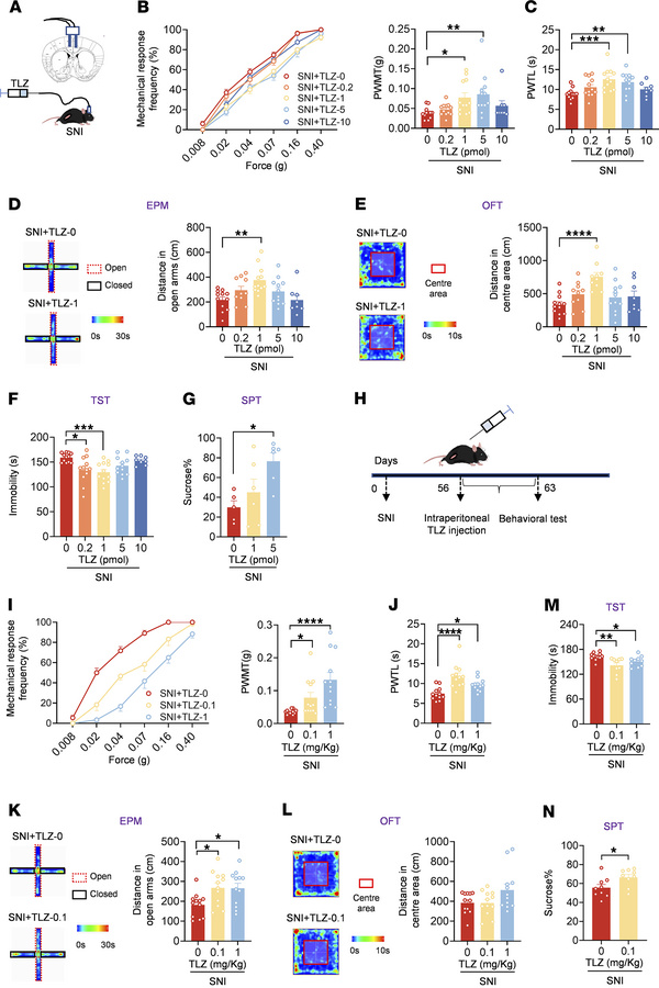 Administration of TLZ relieves established pain hypersensitivity and anx...