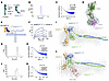 SAXS models of N-terminal and C-terminal ANGPT2 complexes with α5 and β1-in
