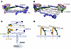 Proposed models of ANGPT2 complexes with α5β1-integrin and TIE2.