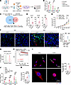 The protein CTSC in tumor debris contributes to NETosis after chemotherapy.