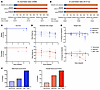Coincident administration of NSAIDs and antibiotics in humans increases the