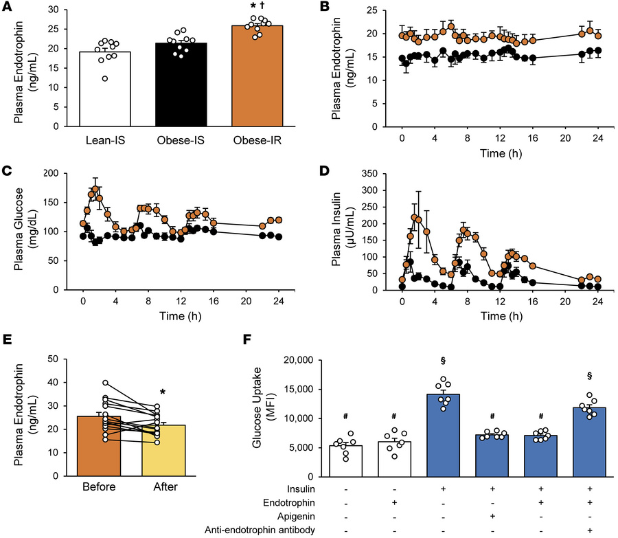 Fasting plasma endotrophin, 24-hour plasma endotrophin, glucose and insu...